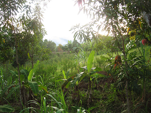 Limbe, Haiti